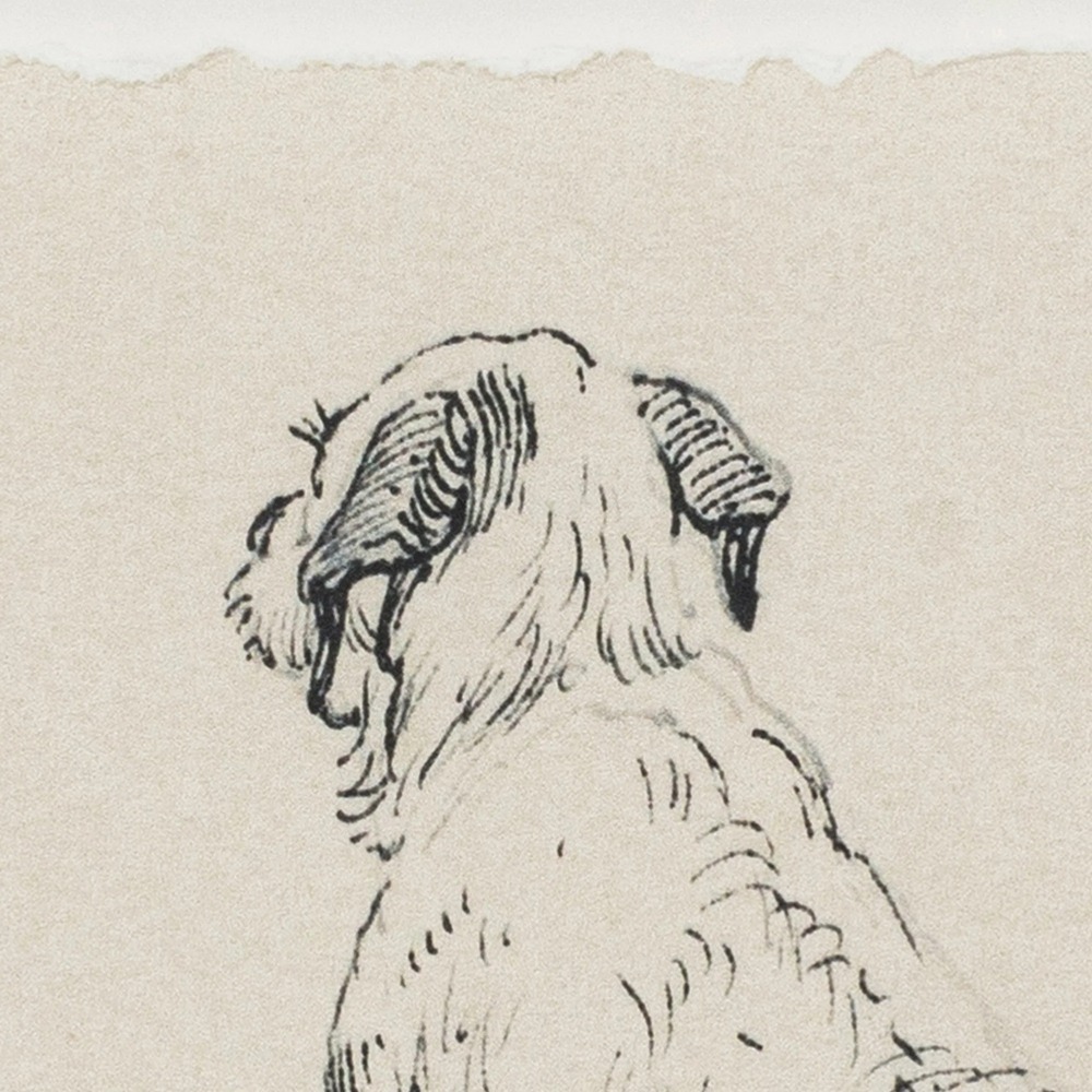 My Texas House Dog by the Beach Framed Wall Art 24x16 - Picture 4 of 9